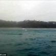 Centinaia di delfini nella Manica saltano insieme 3