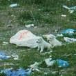 Cuccioli cane nel sacco di plastica lanciati da furgone7