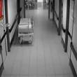 Finto medico rubava in ospedale a Sesto San Giovanni6