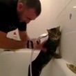 Il gatto che ama fare il bagno ed essere insaponato2