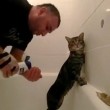 Il gatto che ama fare il bagno ed essere insaponato