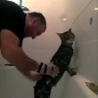 Il gatto che ama fare il bagno ed essere insaponato4