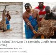 Kenya, cucciolo di giraffa salvato dopo 4 ore nel fiume