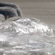 Lastre ghiaccio sul lago mosse dal vento4