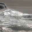 Lastre ghiaccio sul lago mosse dal vento2
