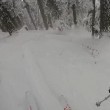 Leonardo delle nevi ripreso da sciatori in India2