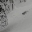 Leonardo delle nevi ripreso da sciatori in India4
