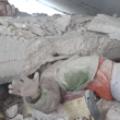 Siria, bimbo sotto le macerie: video choc del salvataggio 2
