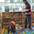 Video YouTube - Fernie, il cane che sa leggere 5