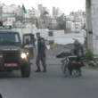 YOUTUBE Polizia Israele fa cadere palestinese da carrozzina 3