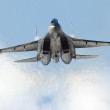 Caccia Sukhoi Su-35s, il Terminator di Putin 06
