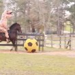 Tirannosauro a cavallo: VIDEO demenziale