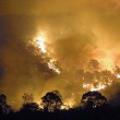 YOUTUBE Australia: nibbio e falco appiccano incendi per...
