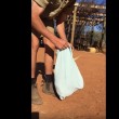 Canguro orfano usa sacchetto come marsupio