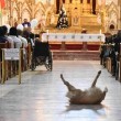Cane in chiesa durante messa fa sorridere bimbi malati