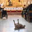 Cane in chiesa durante messa fa sorridere bimbi malati5