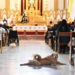 Cane in chiesa durante messa fa sorridere bimbi malati2