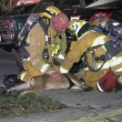 Cane soccorso dai pompieri con maschera ossigeno