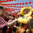 Capodanno cinese, addio Capra: arriva l'anno della Scimmia9