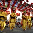 Capodanno cinese, addio Capra: arriva l'anno della Scimmia8