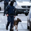 Stragi Parigi, accusa: "Polizia sparò su polizia e Diesel" 02