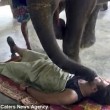 YOUTUBE Elefante massaggia turisti in Thailandia: nuova moda03