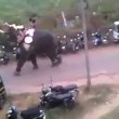 YOUTUBE India, elefante distrugge auto durante festa4