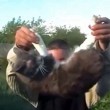 YOUTUBE Gatto torturato e ucciso: ragazzi lo fanno esplodere