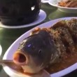 YOUTUBE Pesce bollito in tavola: gli danno alcol e...vive
