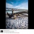 YOUTUBE Fiumi di sabbia per siccità: VIDEO FOTO Po Ticino5