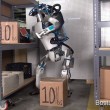 YOUTUBE Atlas, robot quasi umano: ecco come reagisce se... 3