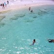 TripAdvisor, top 10 spiagge: Cala Mariolu più bella d'Italia01