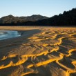Nuova Zelanda, 40mila cittadini comprano spiaggia: "Ora è di tutti"06