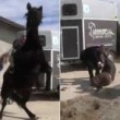 YouTube: Vasco Pirri Ardizzone cade da cavallo imbizzarrito3