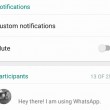 WhatsApp, aggiornamento aumenta partecipanti in chat 02