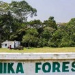 Zika: nella foresta in Uganda dove è nato il virus (FOTO)