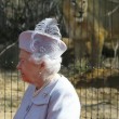 Regina Elisabetta allo zoo, leonessa si lecca i baffi3