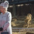 Regina Elisabetta allo zoo, leonessa si lecca i baffi6