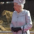 Regina Elisabetta allo zoo, leonessa si lecca i baffi5