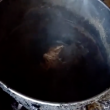 Canile lager con carcasse di cani in frigo VIDEO 3