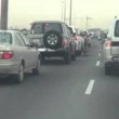 Leone in autostrada a Doha: traffico in tilt