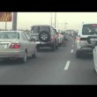 Leone in autostrada a Doha: traffico in tilt6