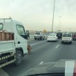 Leone in autostrada a Doha: traffico in tilt9