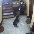 Poliziotto spara cane che scodinzola a New York 4