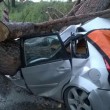 Ardea, albero schiaccia auto: 2 morti, 1 ferito 4