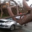 Ardea, albero schiaccia auto: 2 morti, 1 ferito 2