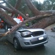 Ardea, albero schiaccia auto: 2 morti, 1 ferito
