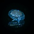 Diamante blu all'asta da Sotheby's: vale 30mln dollari FOTO 2