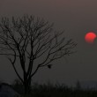 Eclissi sole: Sud Est Asia VIDEO e FOTO19