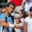 YOUTUBE Rafa Nadal si sente male a Miami e abbandona5